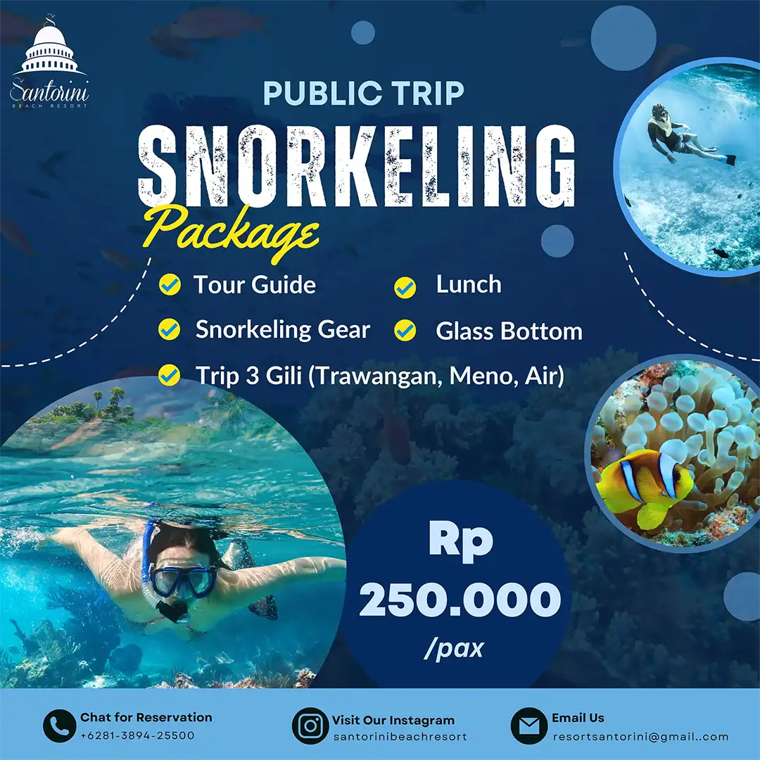 Public Trip Snorkeling