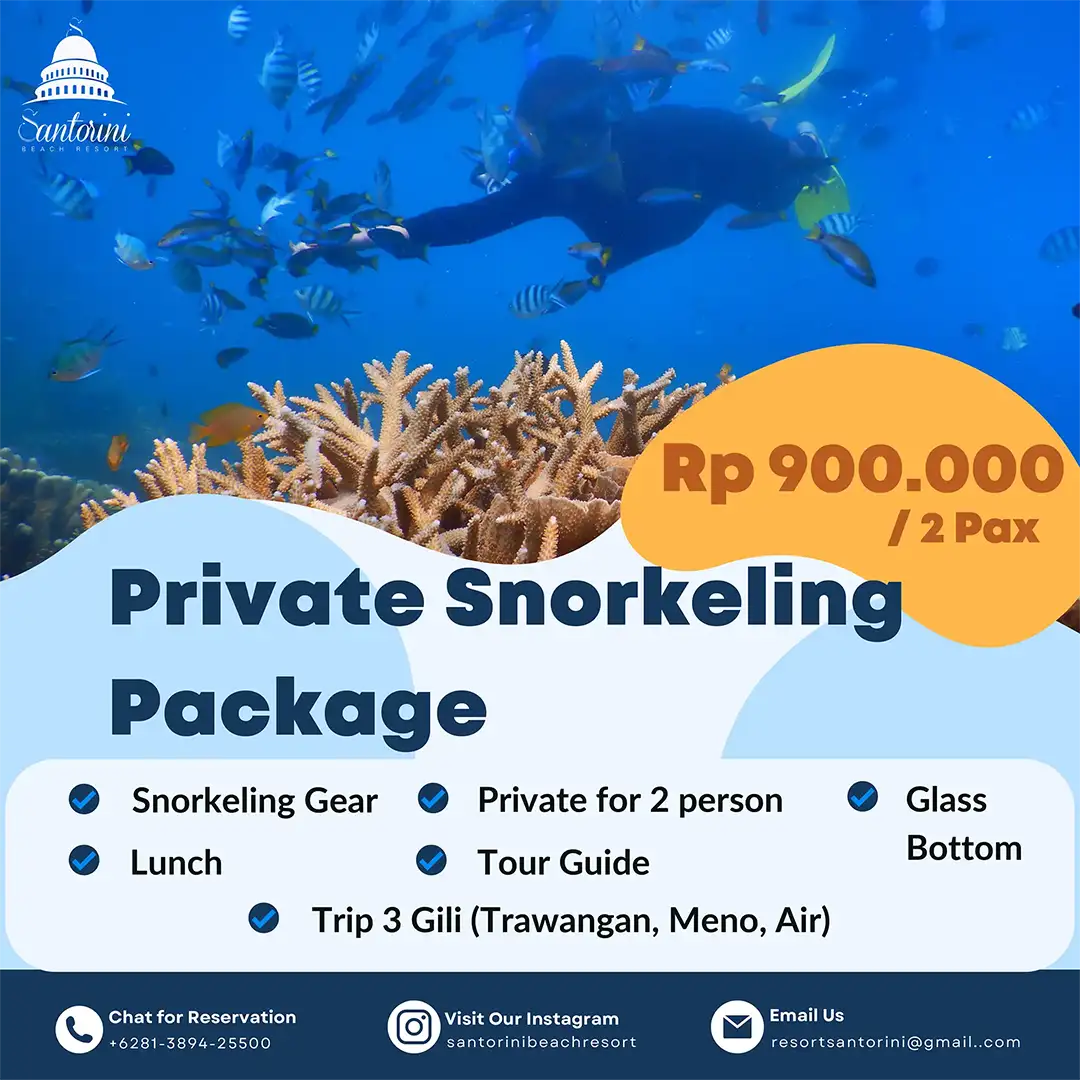 Private Snorkeling